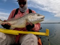 32" Redfish on 20240517
